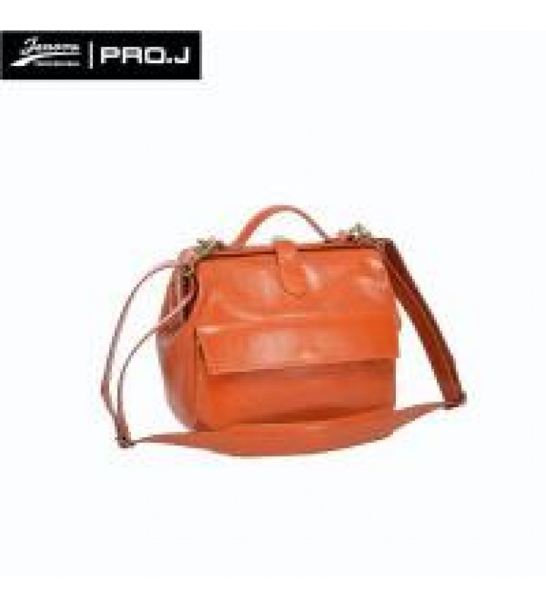 Handbag HB201701